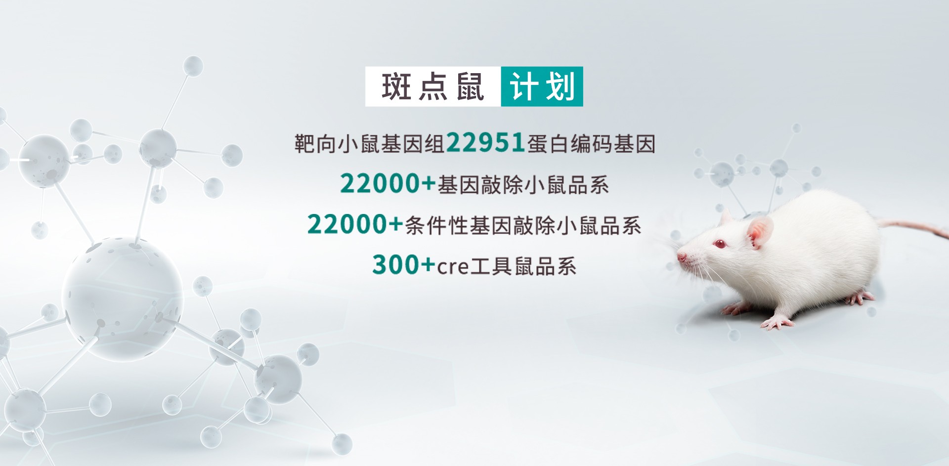 �����ó���