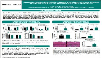 Spontaneous Systemic Lupus Erythematosus Mouse Model Based on TLR7Y264H Genetic Mutation
