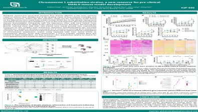 Chromosome 1 substitution strains, a new resource for pre-clinical MASLD mouse model development