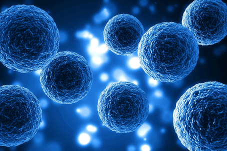 Accelerating TCE Drug Development with Humanized Mouse Models